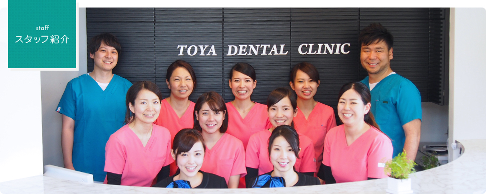 スタッフ紹介